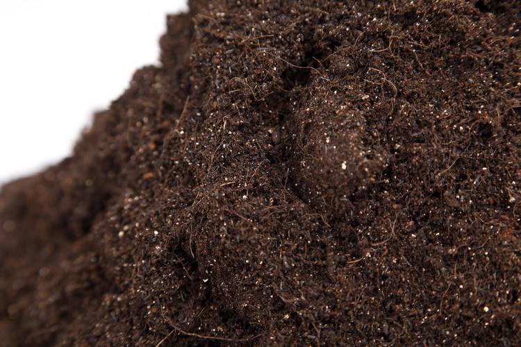 平时用的营养土是沙质土壤吗？