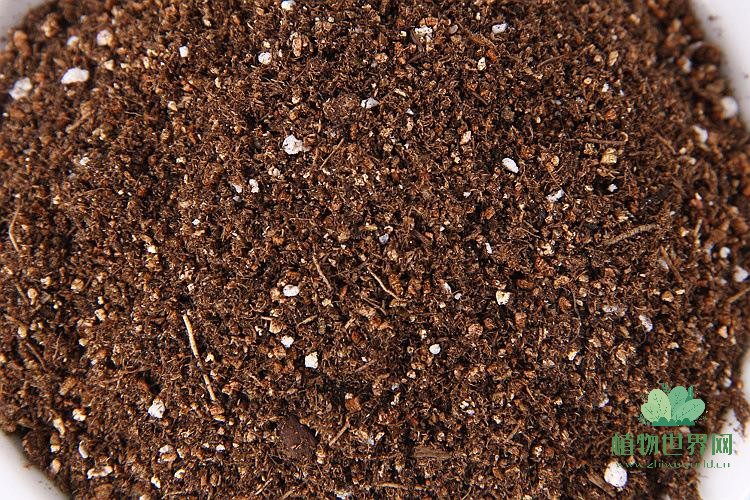 多肉最简单的配土方法：打造适合多肉植物生长的土壤