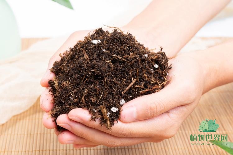 营养土和培养土的使用方法是什么？